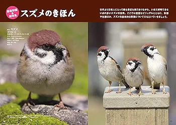 断捨離品⭐︎すずめ雀！ 断捨離品⭐︎すずめ雀！ 断捨離品⭐︎すずめ雀！