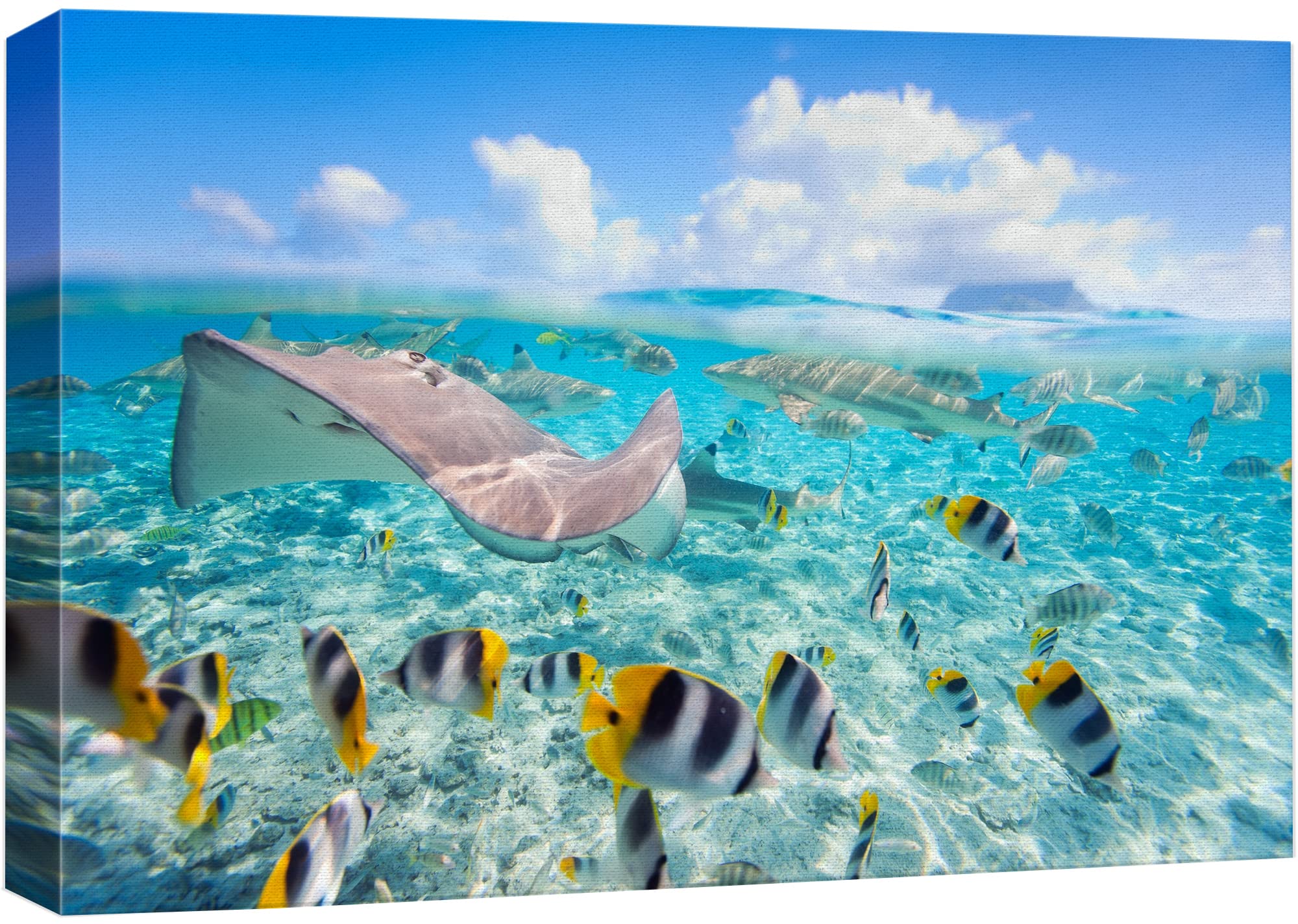 wall26 Canvas Print Wall Art Stingray & Striped Fish Under The Sea Nature Ocean Photography Realism Nautical Scenic Relax/Calm Multicolor Ultra for Living Room, Bedroom, Office - 24"x36"