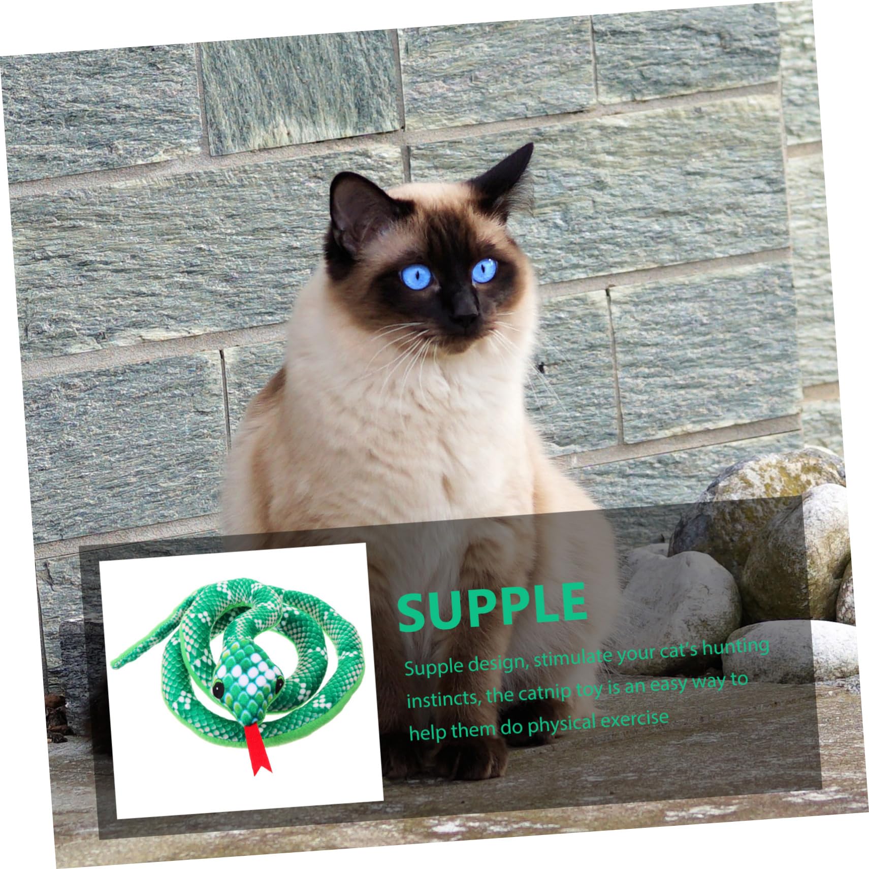 Kisangel Chat Forme de Serpent Catnip à Mâcher Interactif pour Accessoire pour Animaux Couleur Verte