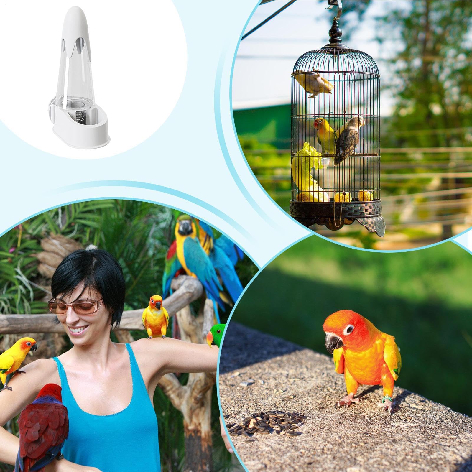 lyanny Bevi Uccelli - Automatico Dispenser Acqua Uccelli - Idratante Facile Da Installare Per Pappagalli Parrocchetti Piccoli Animali Domestici
