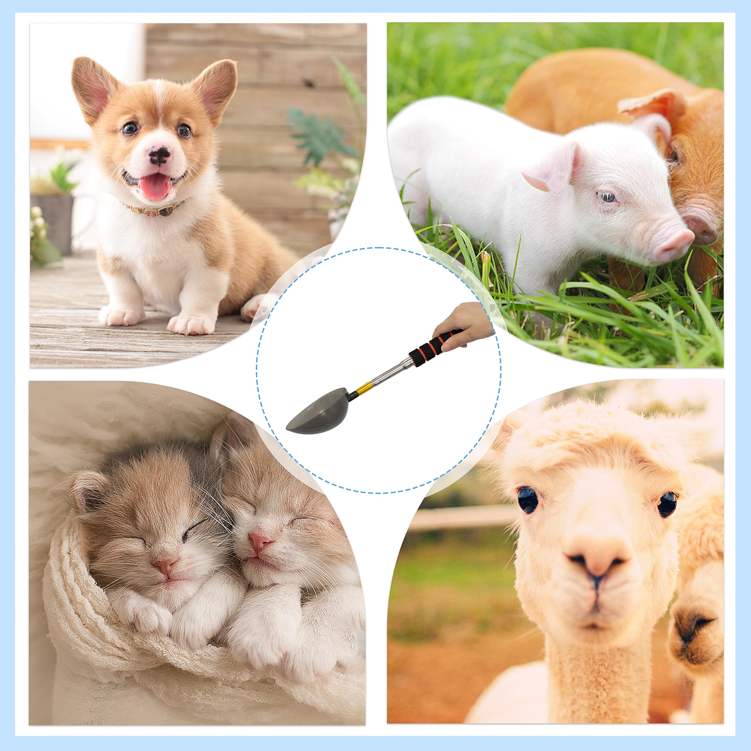 Colector de orina para Perros y Gatos Juego de Recogida de orina telescópica 20 ml jeringa y Vaso de muestras de 40 ml Reutilizable Práctico y Limpio Extracción de una Muestra