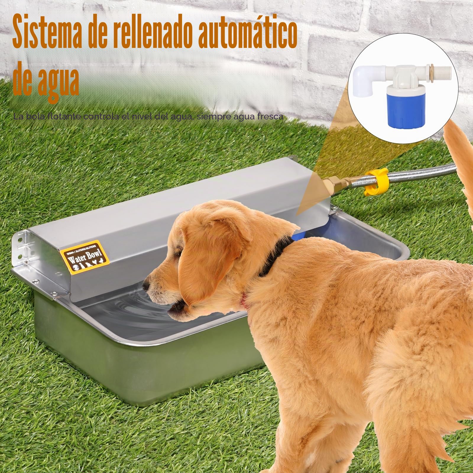 Bebedero Automático para Perros 6L en Acero Inoxidable con Tapón de Vaciado | Llenado Automático para Perros Grandes, Gatos, Pollos y Ganado