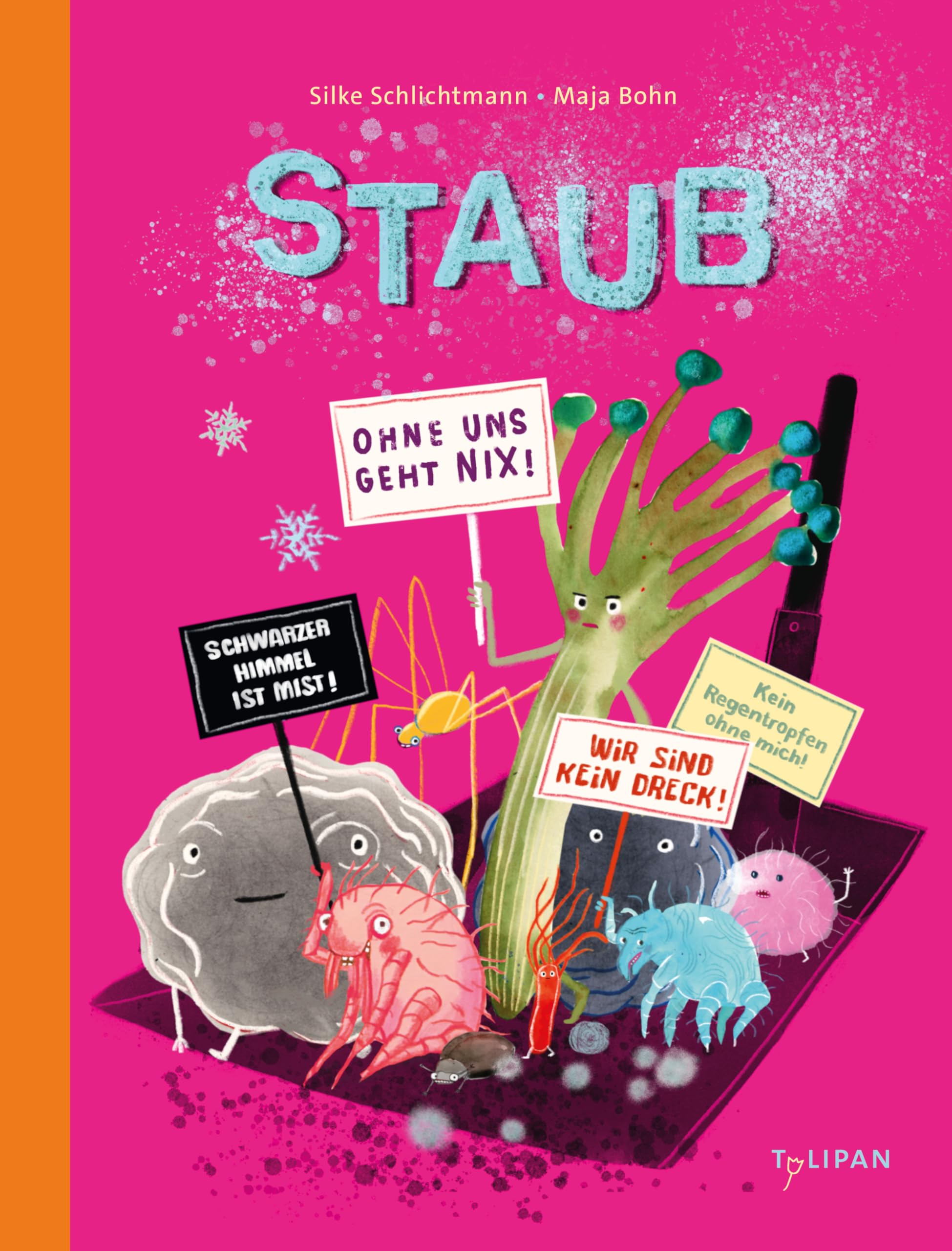 Staub: Das erste Sachbilderbuch zum Thema Staub für Kinder ab 6 Jahren