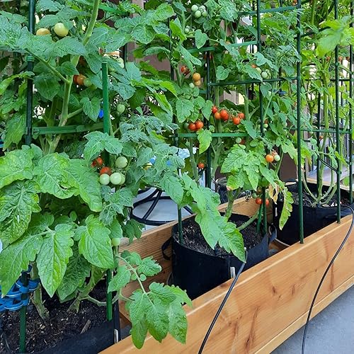 Miniatura 2 de Estacas para Plantas de Jardín de 48 Pulgadas 4 Pies Soporte de Palo de Acero para Plantas, Paquete de 25 Estacas de Tomate para Cultivo de Plantas