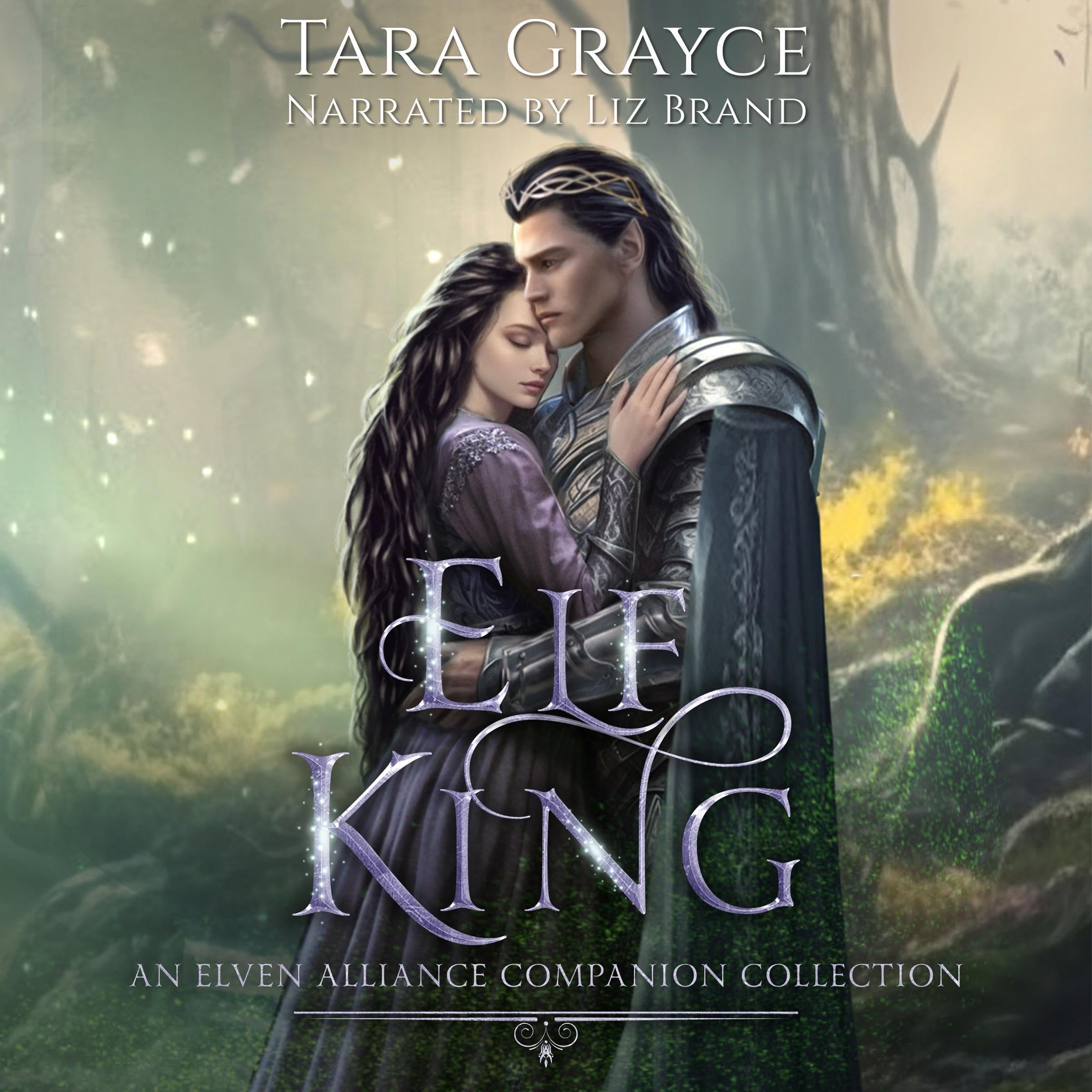 Cover art for Elf King