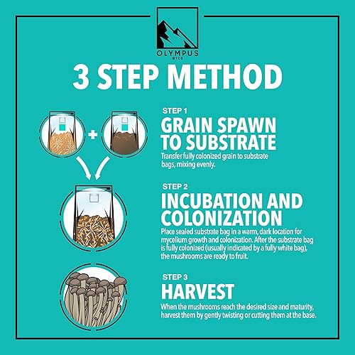 Miniatura 6 de Bolsa de cultivo de sustrato orgánico de hongos, 5 libras, filtro doble de 0.5 micras, pasteurizada, para hongos amantes del estiércol y los granos,