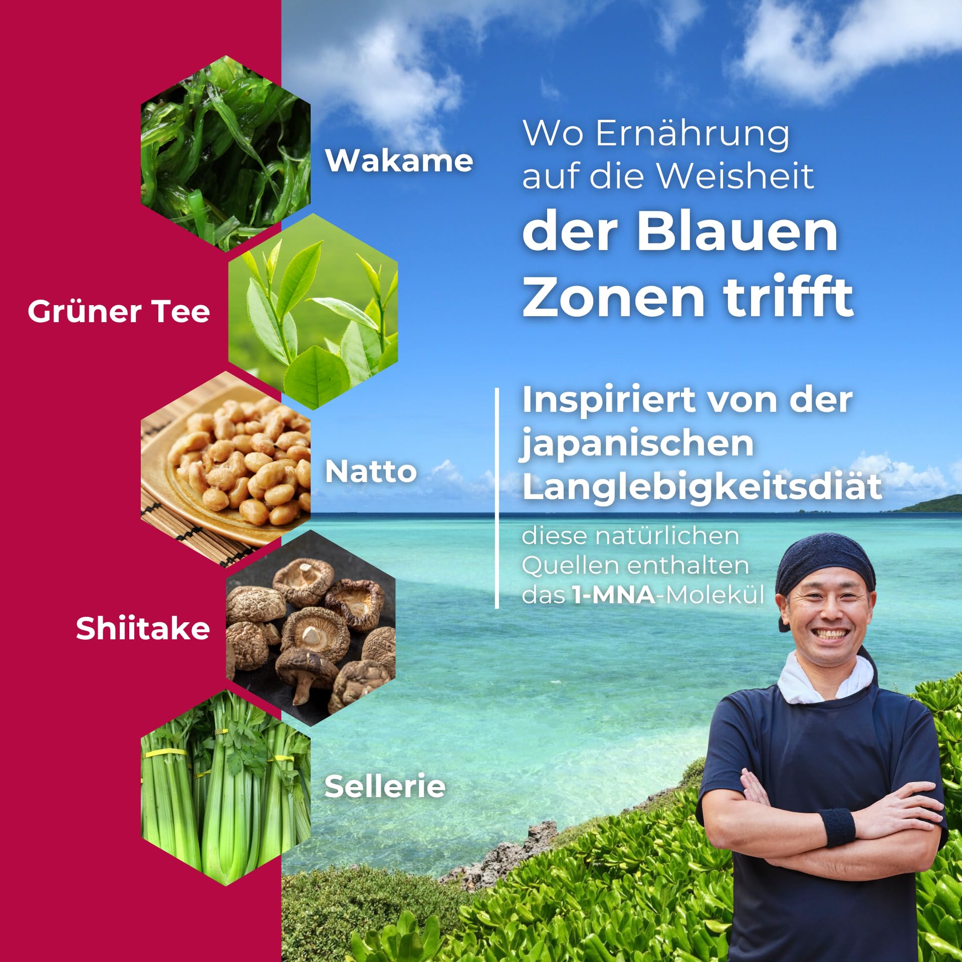 NAD Plus Optimierer mit Trans Resveratrol, 1-MNA und Zink - NAD+ Vorstufen & Polyphenole - Unterstützt Zellvitalität & Energie - Vegan, Glutenfrei, Tägliches Antioxidans - 30 Kapseln