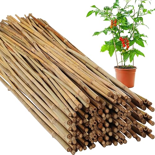 60 estacas de bambú a granel, estacas naturales para plantas de bambú para jardín, soporta escalada para tomates, frijoles, vegetales y plantas en