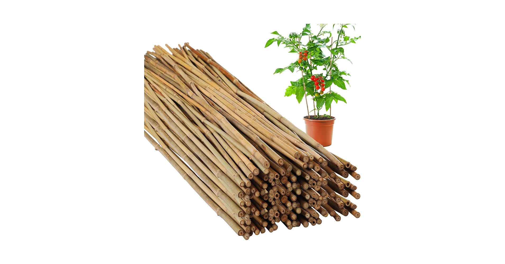2FT 3FT 4FT 5FT 6FT 7FT Bamboo Garden Canes Heavy Duty Plant Flower