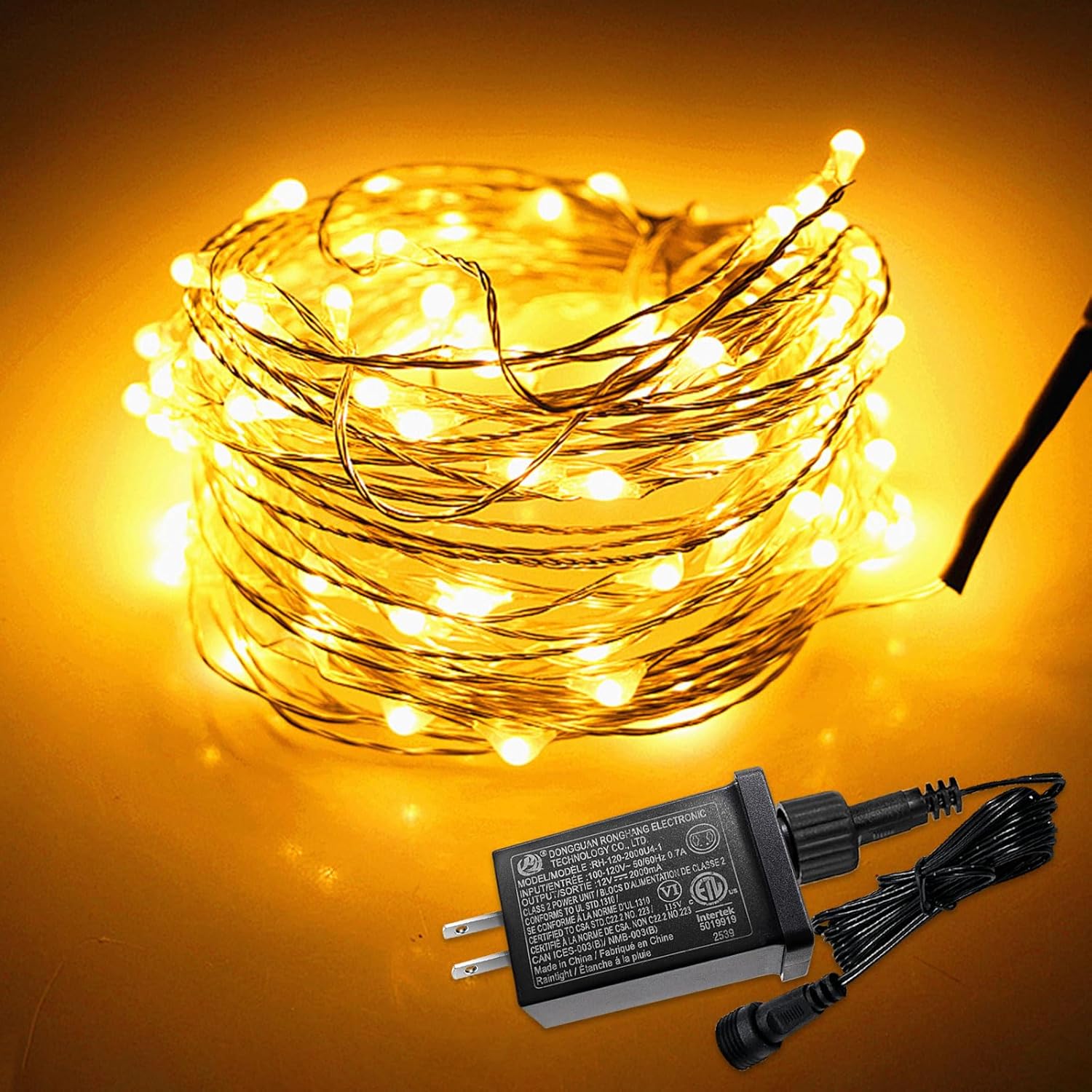 12V 2A LED Controller with Extension Cord, 24W Class 2 Power Supply Ip44 Low Voltage Transformer ，Replacement Model RH-120V2000U4-1 for Christmas String Light Inflatable Decorations (12V 2A 1PCS)