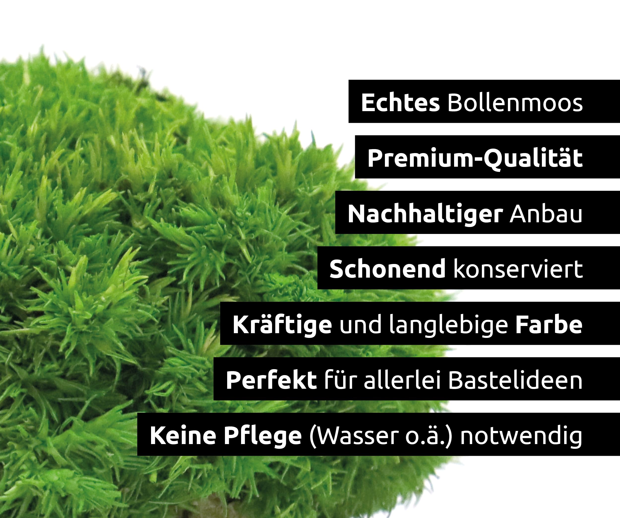 Bollenmoos konserviert für Moosbilder Dekomoos Kugelmoos Premium Qualität Dunkelgrün, Artikelgewicht: 0.25