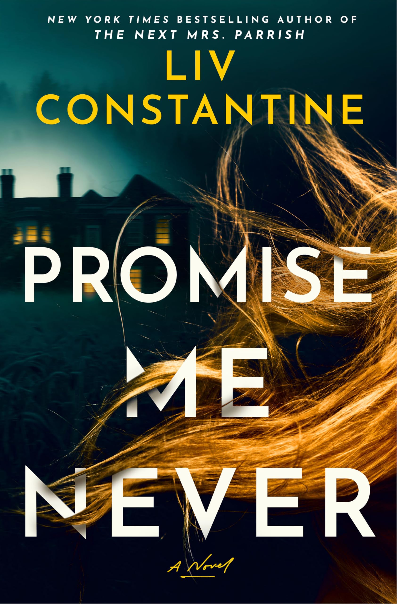 Promise Me Never by Liv Constantine - 9780593875230