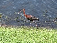 Review Image by Bob C Bob C