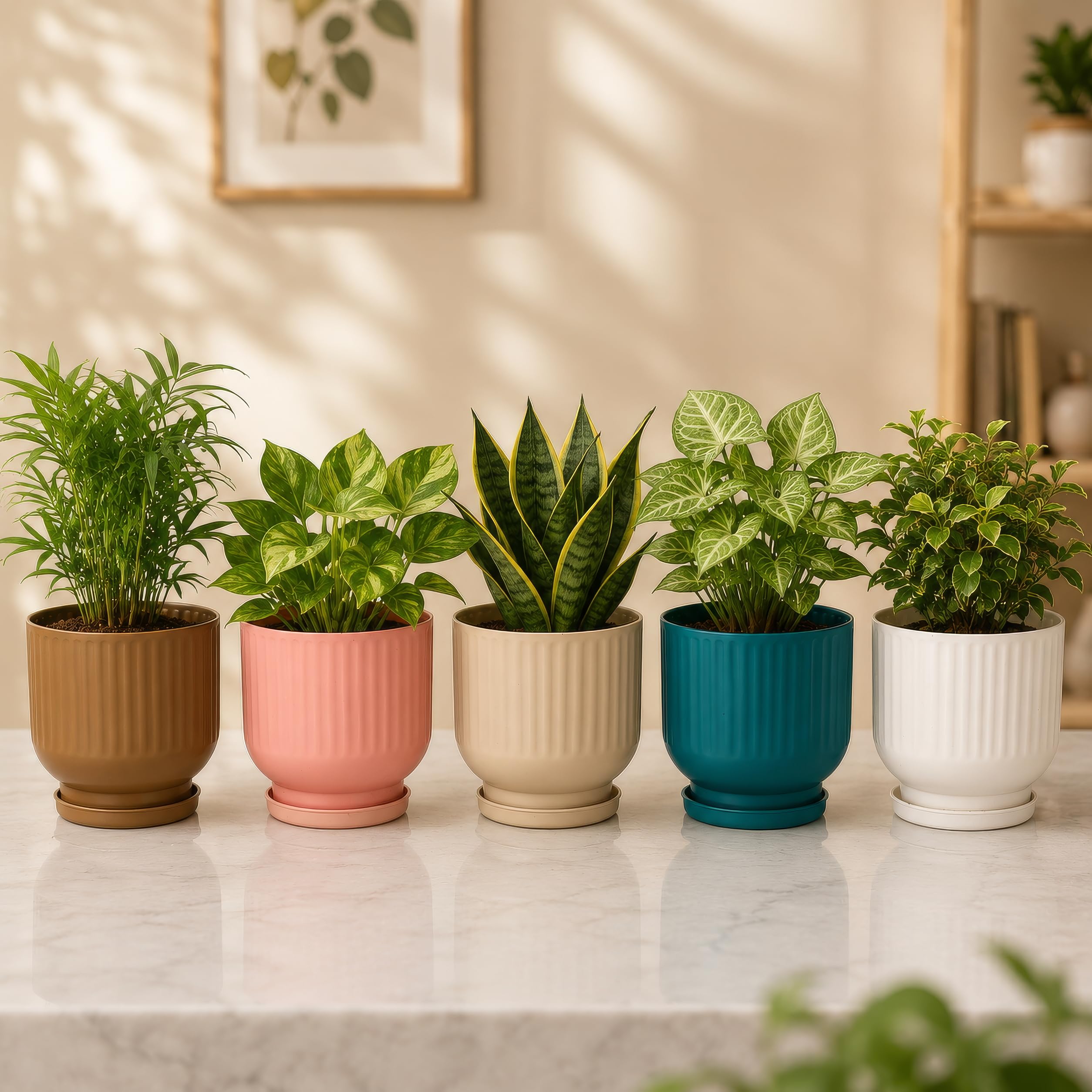 Leawall Plastic Flower Pots - Multicolor, FREE SHIPPING -7