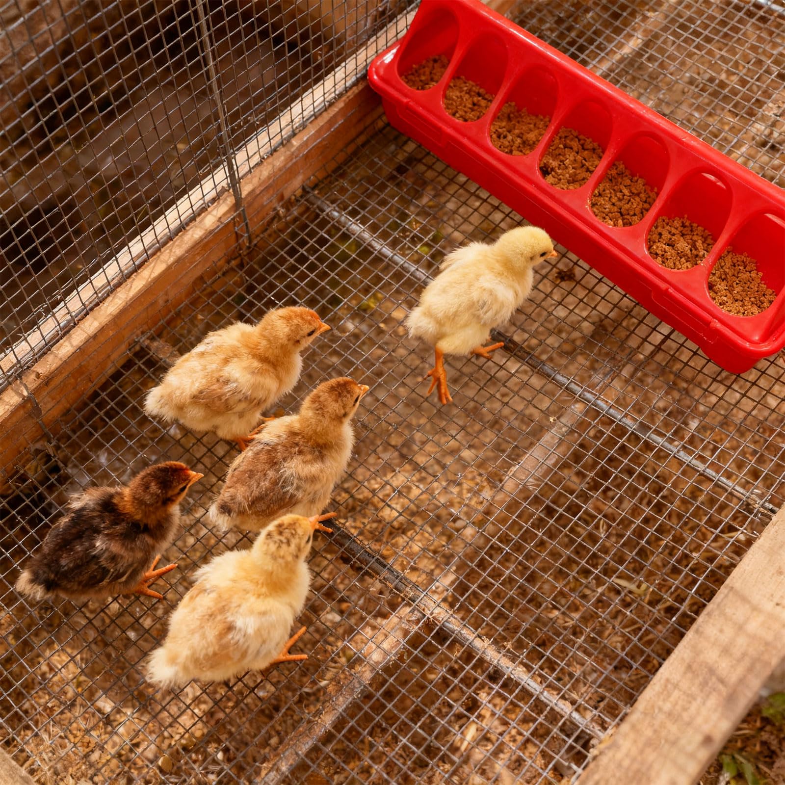 Paquete de 1 juego de crianza que incluye bebedero de estufa para pollitos, juego de criadores de aves de corral, paquete de lámpara segura