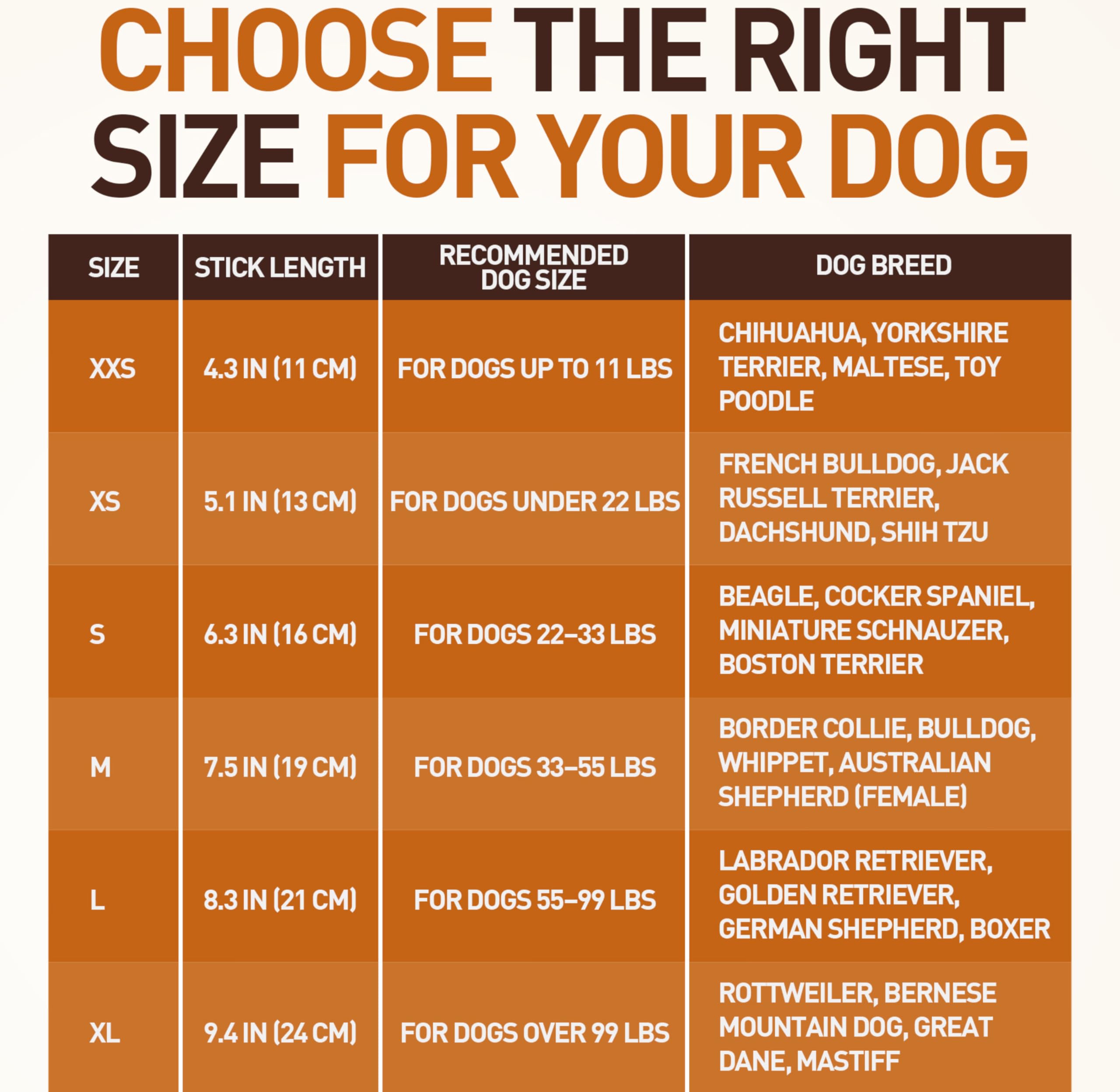 Wildfang® | Kauwstokje van harde kaas voor honden I Tandheelkundige verzorging & mastiektraining I Natuurlijk kauwspeeltje voor honden (M