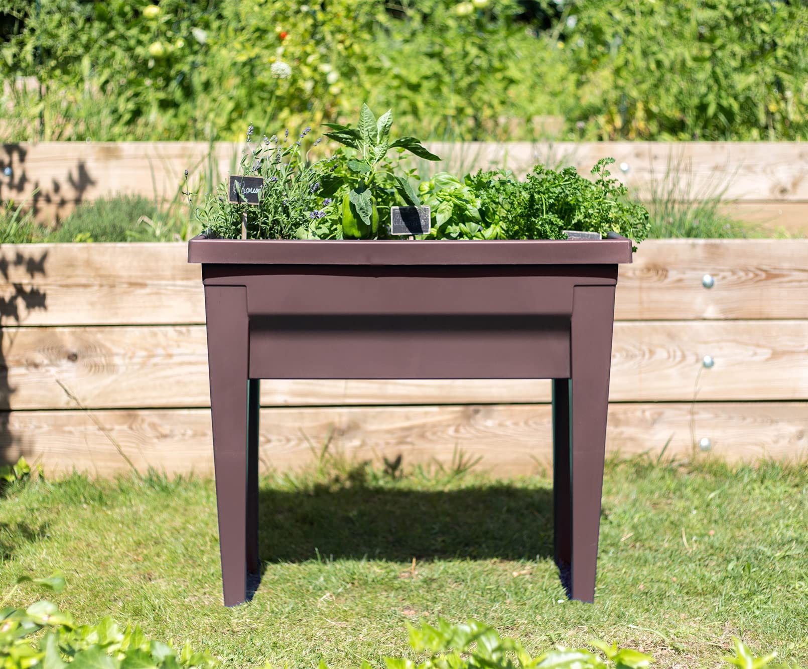 EDA Plastiques Contenedor para huerto urbano, Végétale City, 13923 BR,T CX4 76 x 38,5 x 68 cm