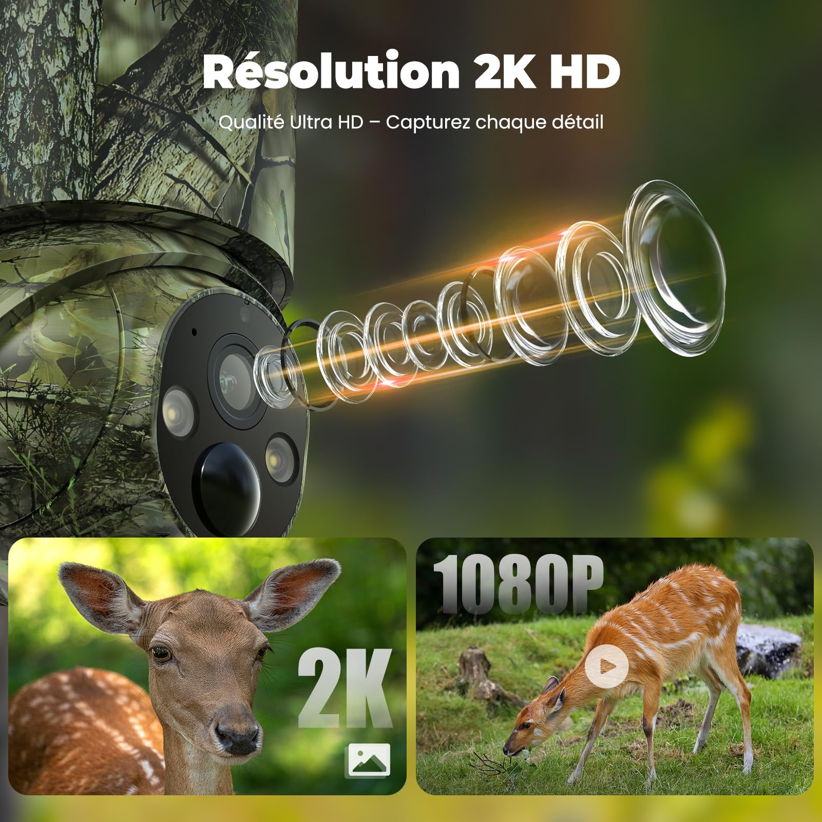 Caméra de Chasse 4G LTE & Solaire avec PTZ | SIM Préinstallée, Vision Nuit Couleur, Détection Mouvement, Audio Bidirectionnel et Batterie 5000mAh