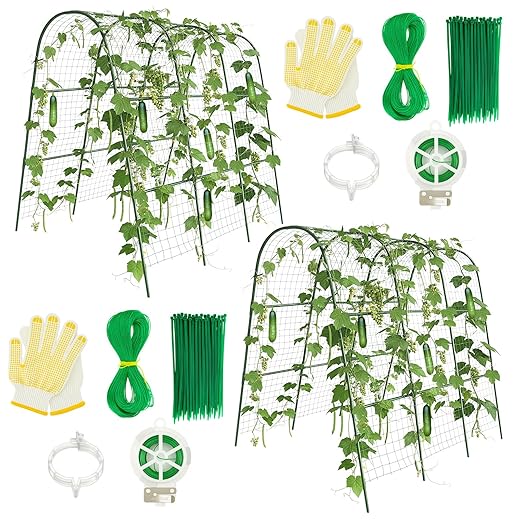 Frienda 2 Pack Garden Cucumber Trellis for Climbing Plants Outdoor 48 x 48 Inch U Shape Cucumber Trellis for Raised Bed Metal Arch for Vegetables Tomato Pea Bean