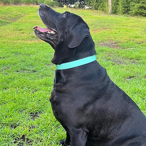 Miniatura 6 de Kidding Pets Collar de perro impermeable, antiolor, ajustable, resistente, con hebilla de metal recubierta resistente al desgaste, más fuerte que el