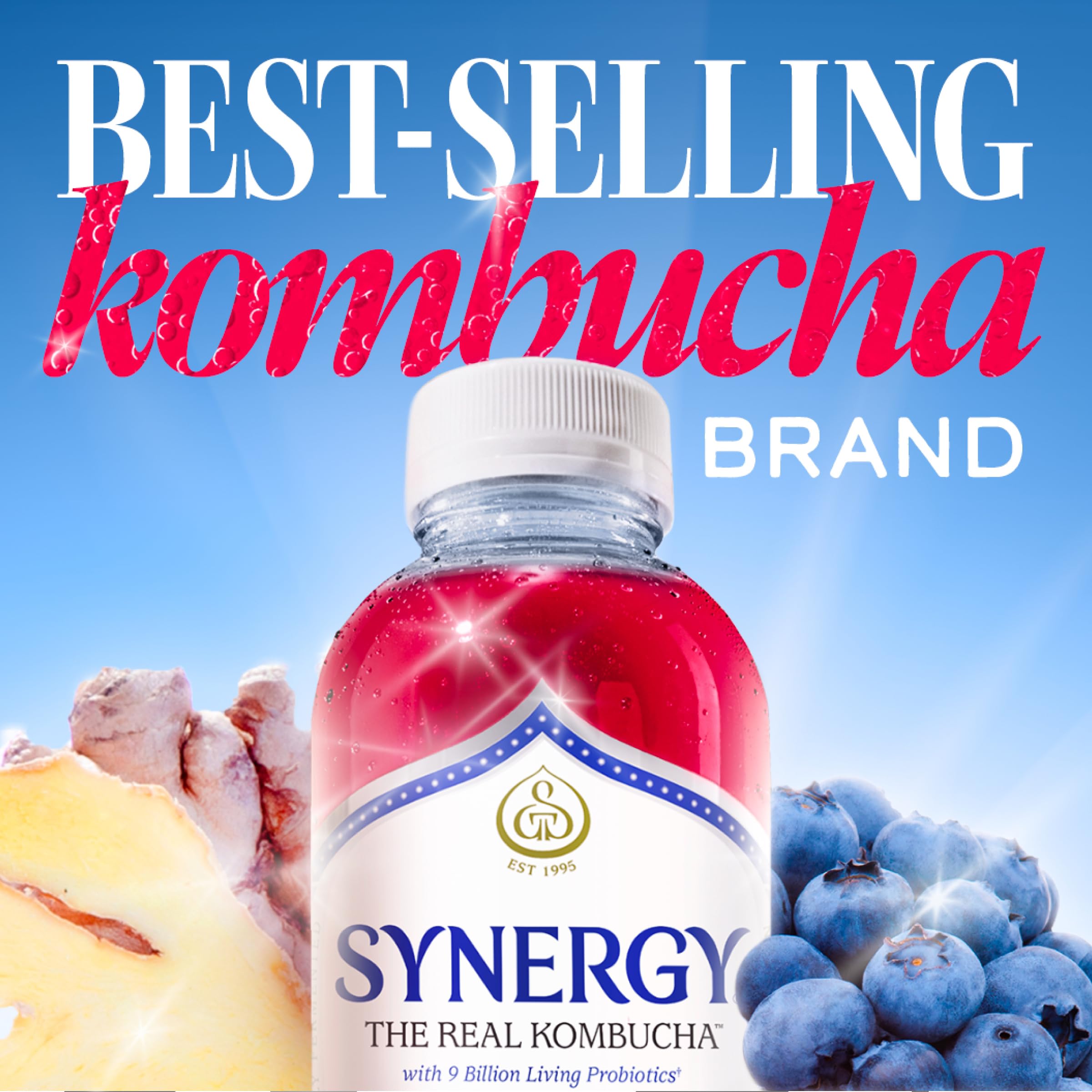 Amazon.com: SYNERGY The Real Kombucha - Gingerberry - 16 fl oz