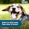 Collar antipulgas y garrapatas Seresto para perros pequeños, recomendado por veterinarios, para perros de menos de 18 lb, 8 meses de protección 5