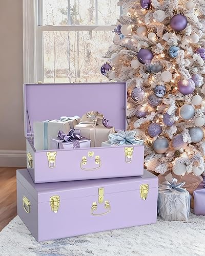 Miniatura 39 de Vixdonos Juego de 2 baúles decorativos de almacenamiento de caja de metal con asa (blanco con cierres de bronce) Blanco con cierres de bronce,Beige