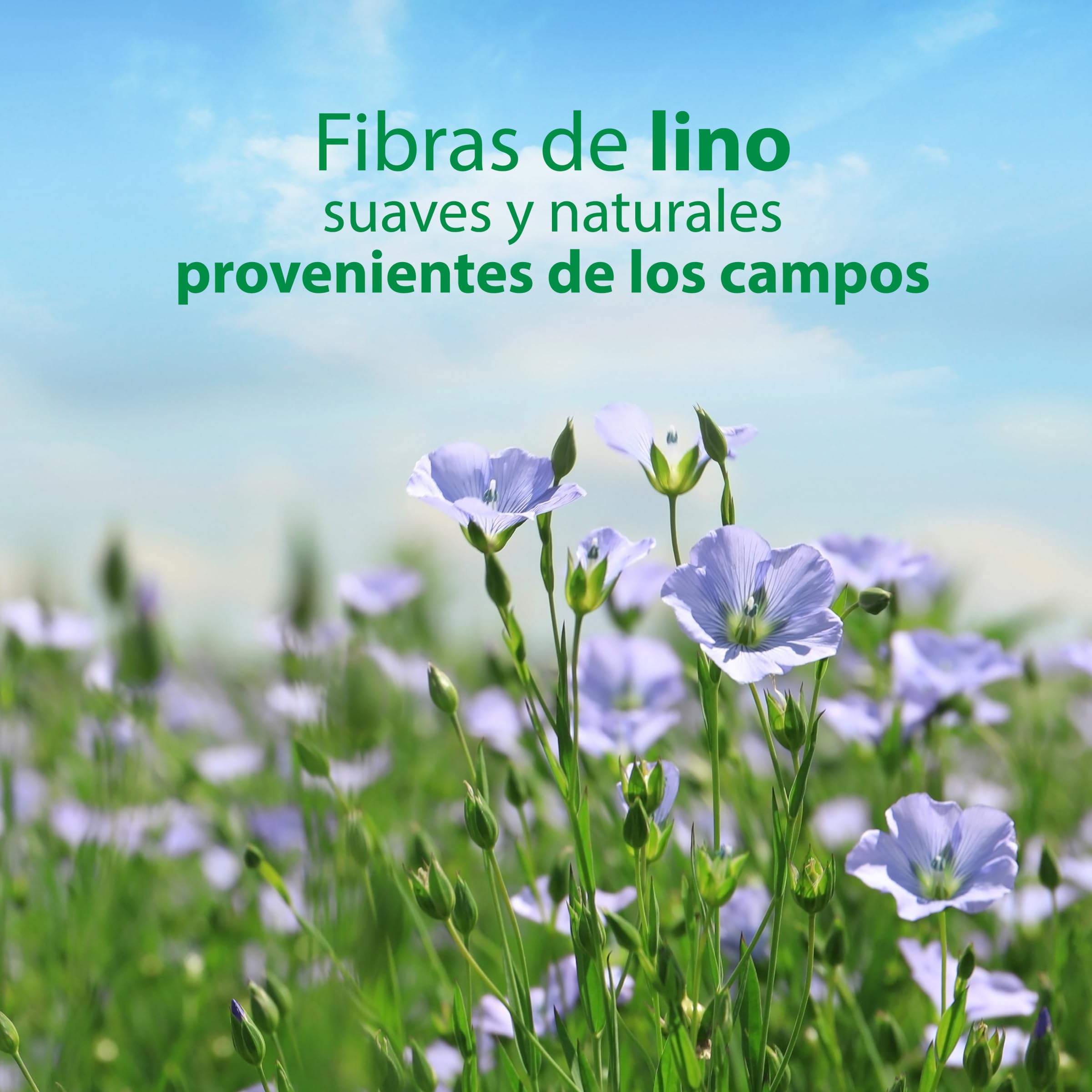 Colhogar Aloe 8x80 - Papel Higiénico Húmedo Desechable con Extracto de Aloe Vera - Sin Alcohol - Dermatológicamente Testado - Paquete con 640 Toallitas Húmedas y Desechables por WC