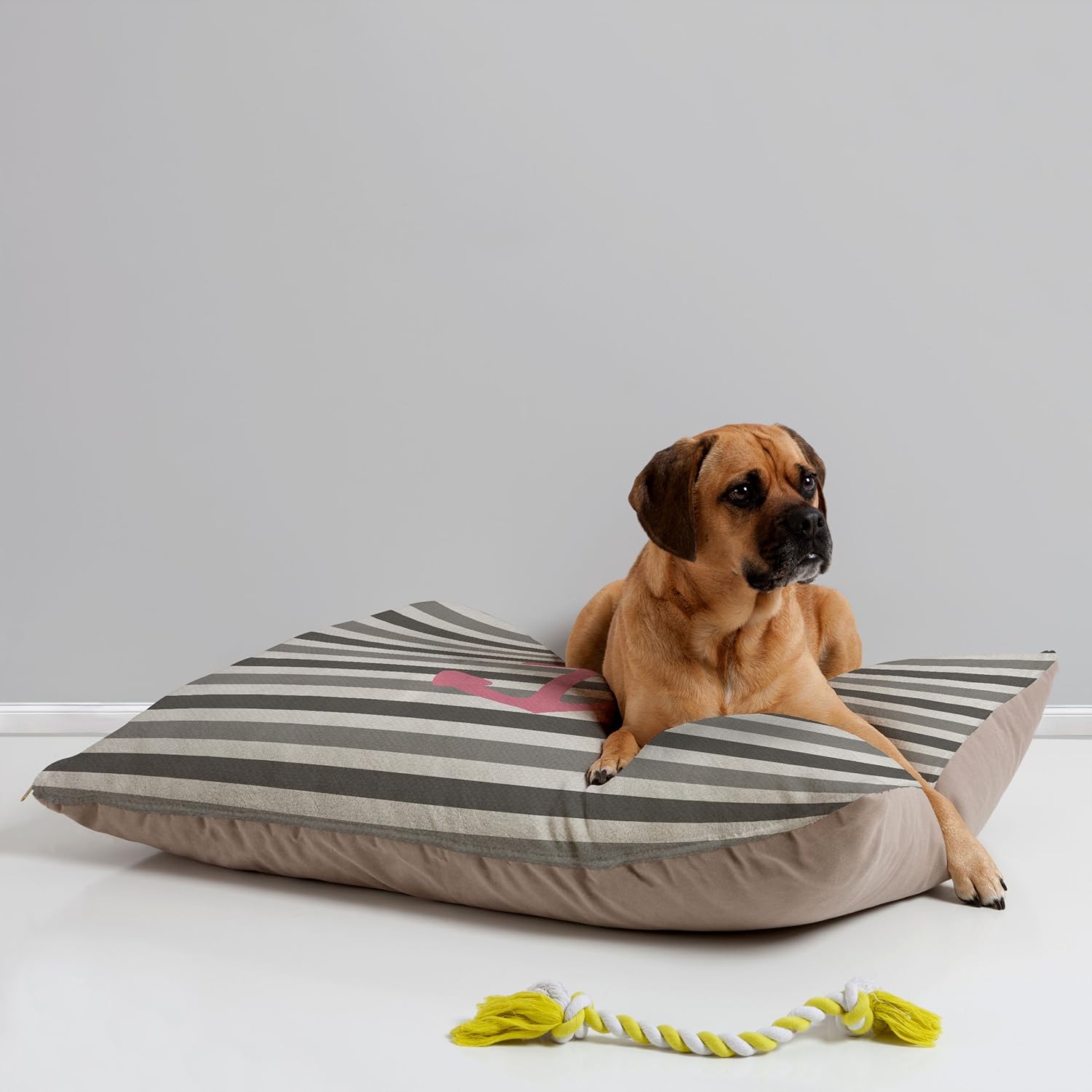 dog bed designs