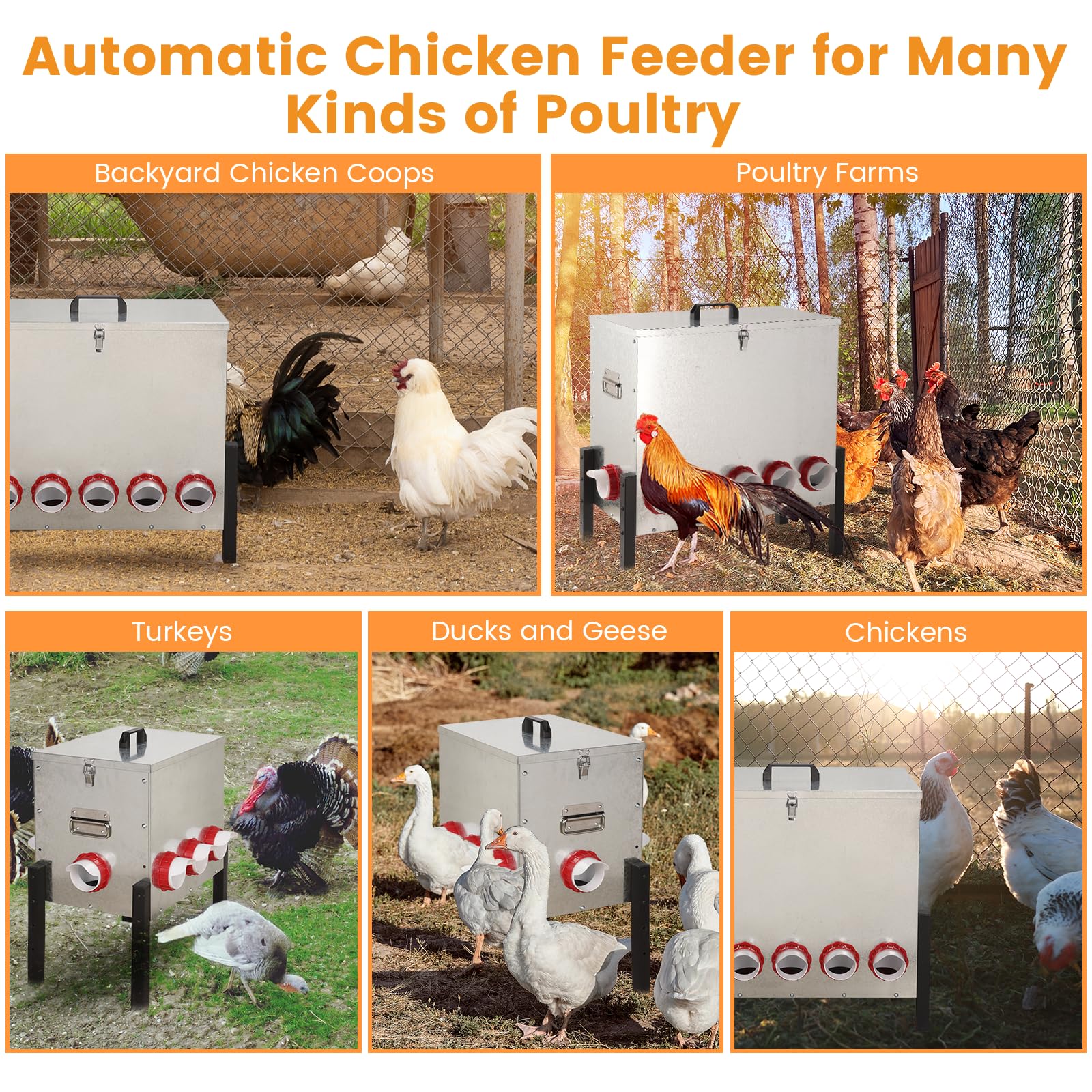 Comedero automático para gallinas, de Metal, de Gran Capacidad, con 12 Orificios y Patas Ajustables, para gallinas y Aves de Corral.