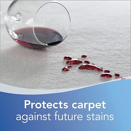 Vista 4 de BISSELL Espuma para alfombras de tráfico pesado, Gain, 22 oz (paquete de 4), 14399