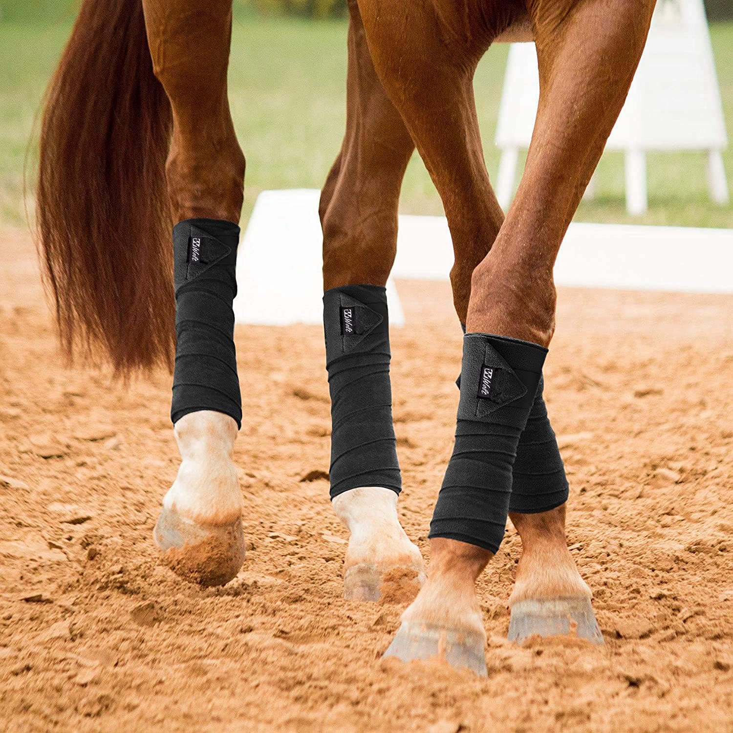 STORMER 's Choice Horse Polo Leg Wraps Soft Fleece Leg Bandage Set of 4 （ Black） : Pet Supplies