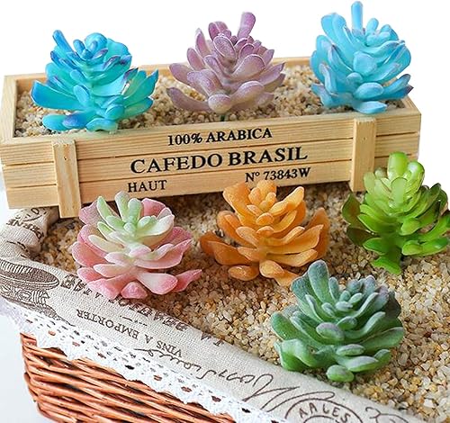 Miniatura 5 de Cayway 20 plantas suculentas artificiales surtidas multicolor, suculentas falsas de cactus aloe, surtido de suculentas en flocado en diferentes