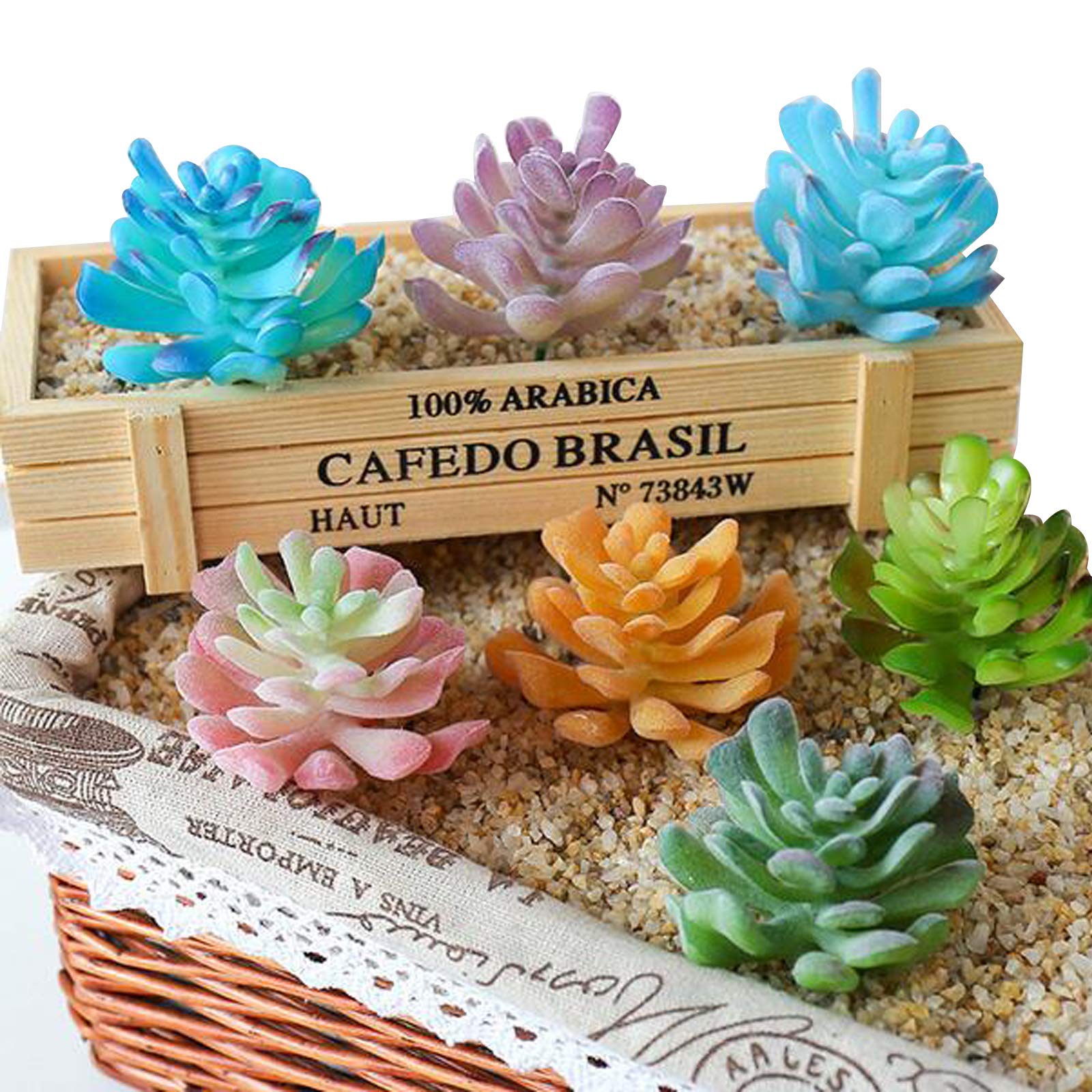 Amazon.co.jp: Cayway 20個マルチカラーフェイク多肉植物 詰め合わせ