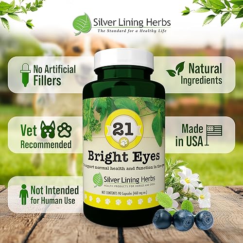 Miniatura 5 de Silver Lining Herbs 21 ojos brillantes - Apoya la salud de los ojos del perro - Mantiene los niveles normales de minerales para los ojos del perro -