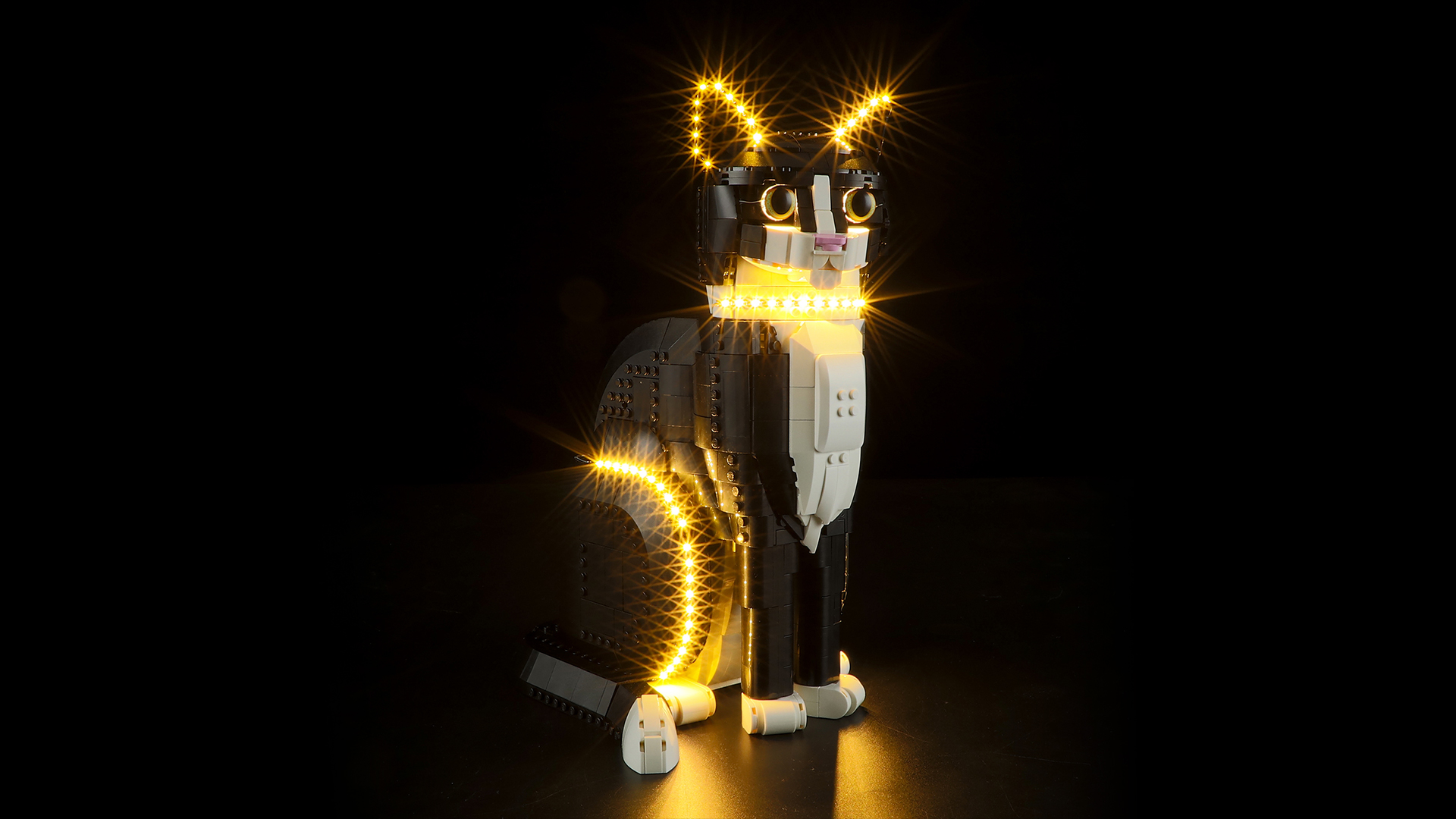 Amazon.com: BRIKSMAX Light Kit for Lego-21349 Tuxedo Cat