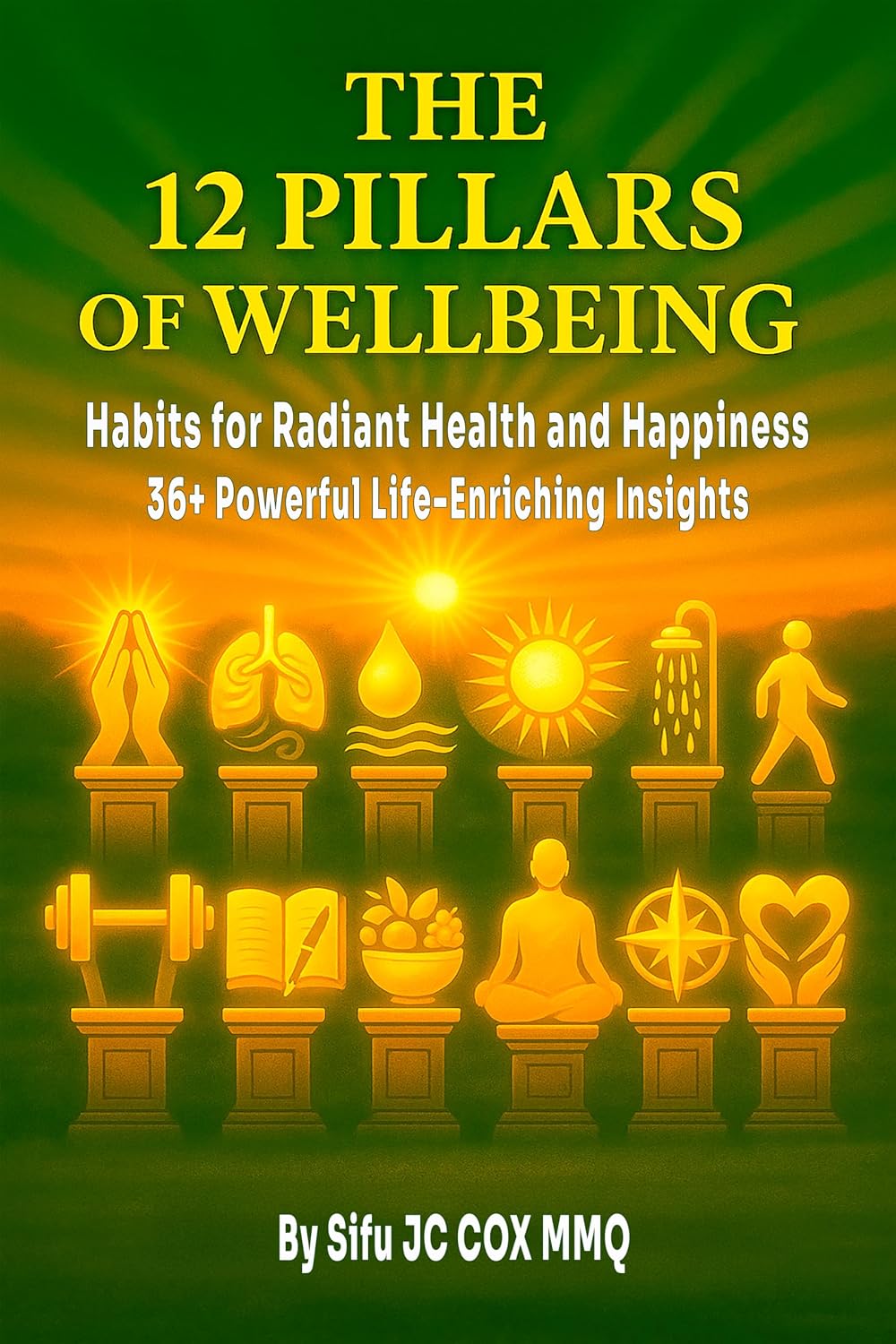 The 12 Pillars of Wellbeing: Habits for Radiant Health and Happiness - 36+ Powerful Life-Enriching Inisghts