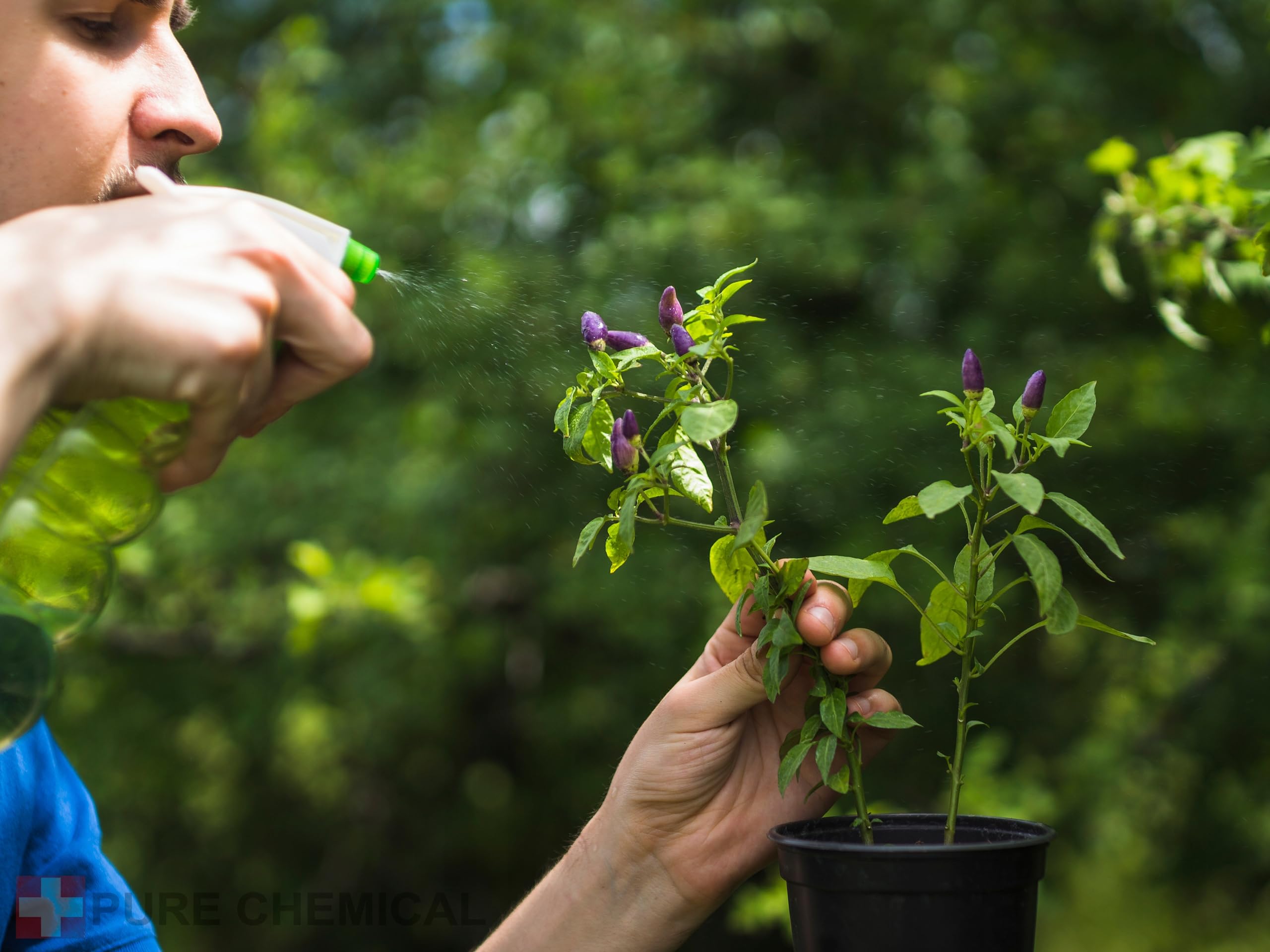 CHOSA Olio di Neem Puro 5 litri - Spremuto a Freddo, Non Raffinato, 100% di Purezza - Per la Cura di Ogni Tipo di Pelle e Capelli - Olio di Nem per Piante, Tanica HDPE 5 L con tappo di sfiato