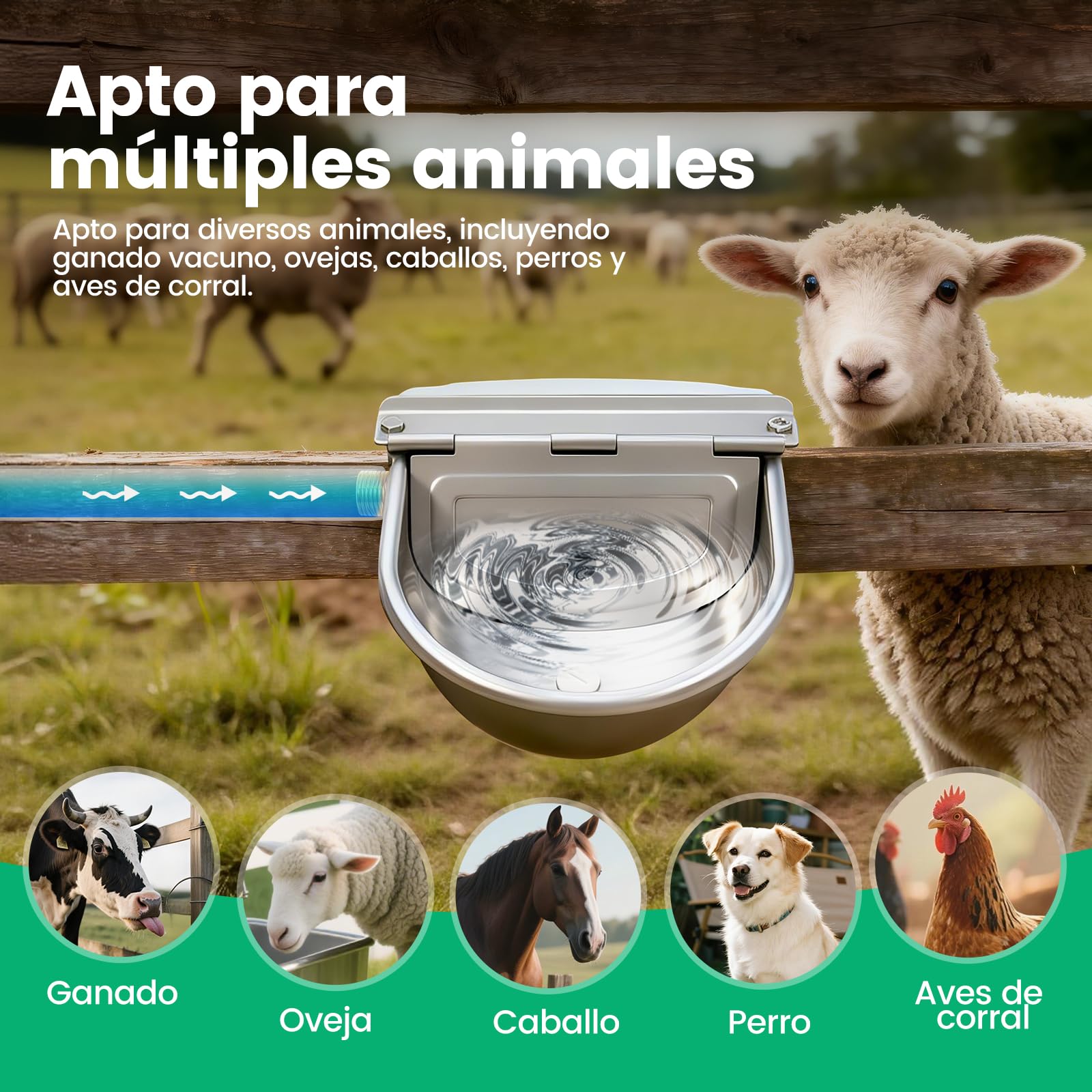 Bebedero Automatico con Valvula Flotador,Acero Inoxidable Bebedero Ganadero,Bebedero Caballos & Vacas Automatico,Bebedero para Ovejas Exterior,Bebedero Automatico para Ganado para Animales