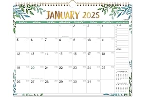 Rifle Paper Co. Wall Calendar 2025: Unparalleled Planning Companion for Home and Office