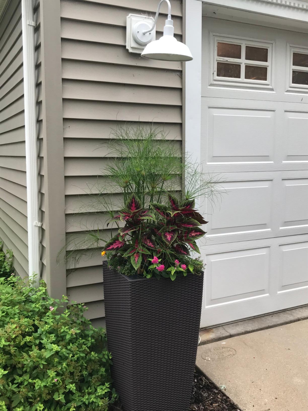 Customer photo