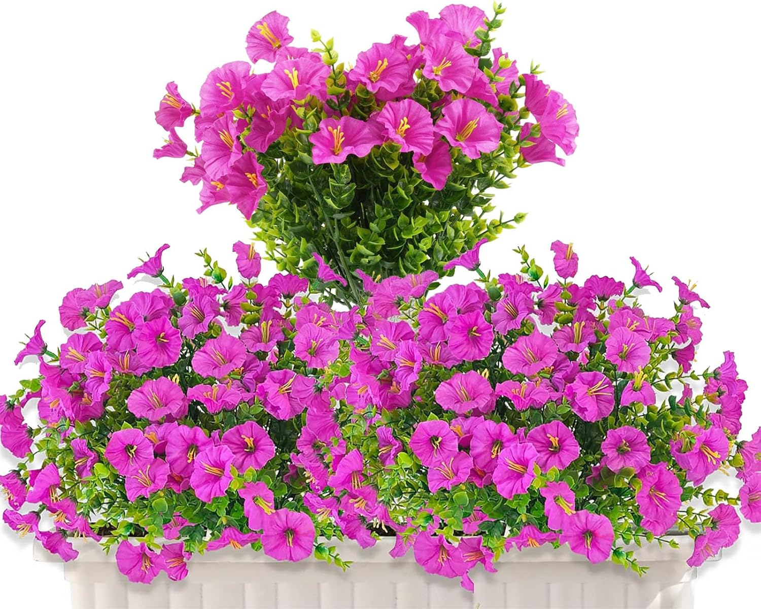 piante di fiori da esterno