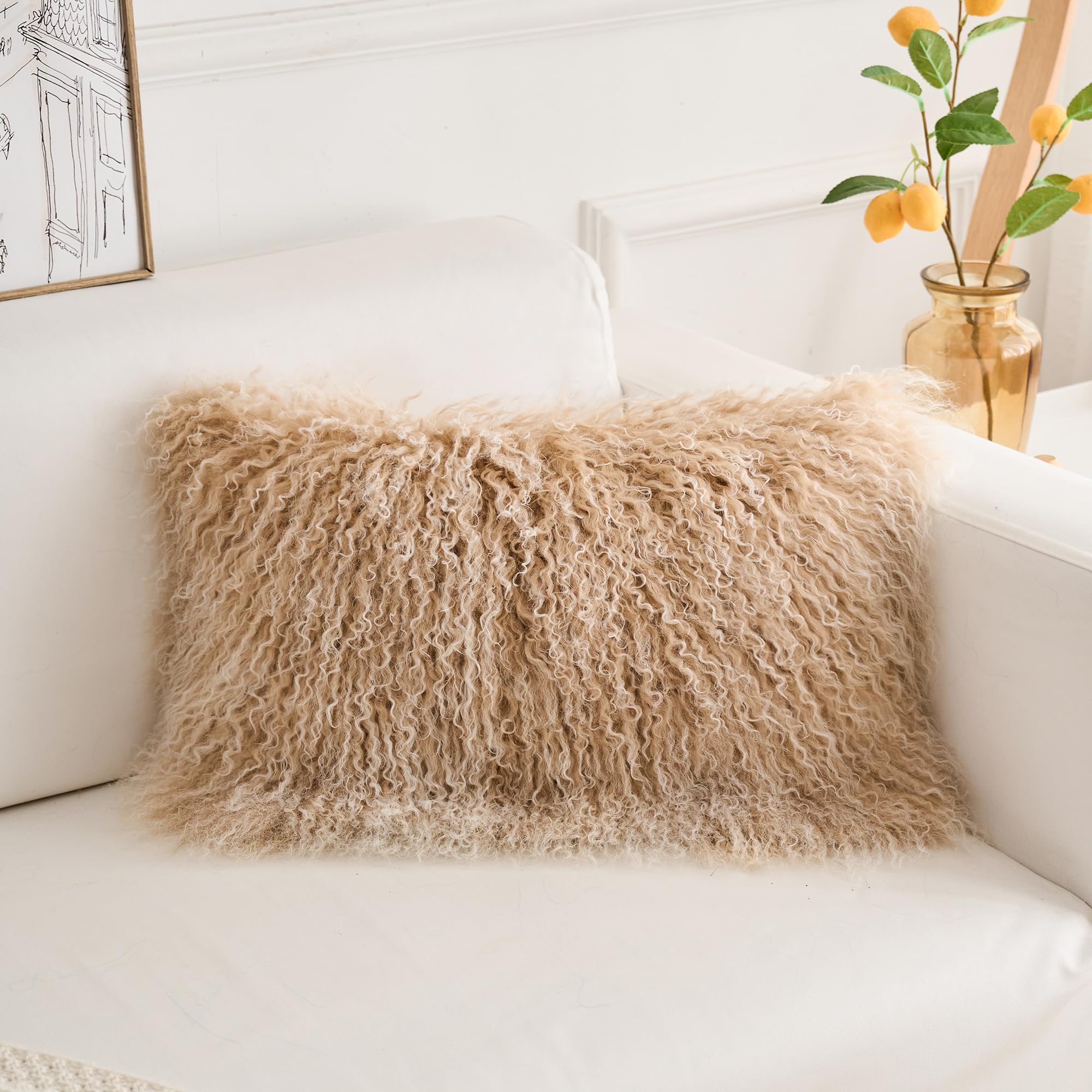 Coussins 30cm x 50cm en Véritable Fourrure d'agneau Tibétain-Mongol - Rembourrage Polyester Haut de Gamme - Décoration Luxe, Hypoallergénique, Lavable - pour Salon, Chambre ou Bureau (Beige Poudré)