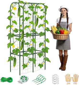62in Tall Cucumber Trellis for Raised Bed, 34" L x 62" H Metal Garden Trellis for Climbing Plants Outdoor, U-Shape Vegetables Trellis Support for Squash Zucchini Peas Grape