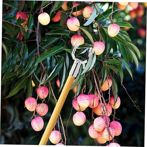 Miniatura 6 de DOITOOL Soporte de rama de árbol de jardín, soporte de rama de árbol frutal, soporte de rama de árbol para soporte de árbol de jardín, soporte de