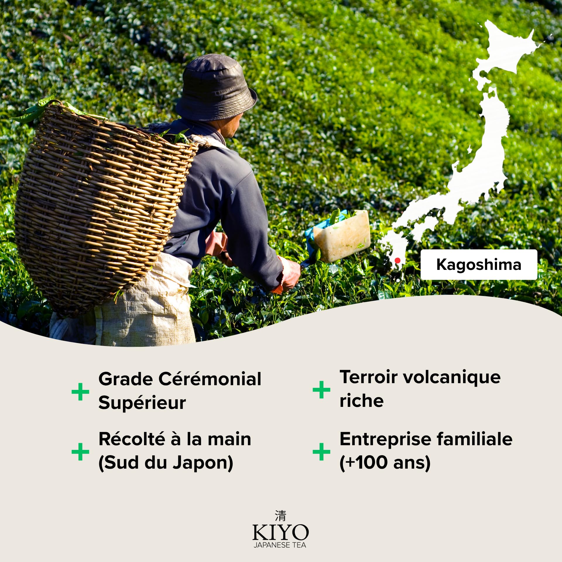 KIYO Kit Matcha Complet Blanc – Fouet Chasen 100 Brins, Bol Chawan Céramique, Cuillère & Support | Matcha Cérémonial Japonais | Coffret Cadeau Premium