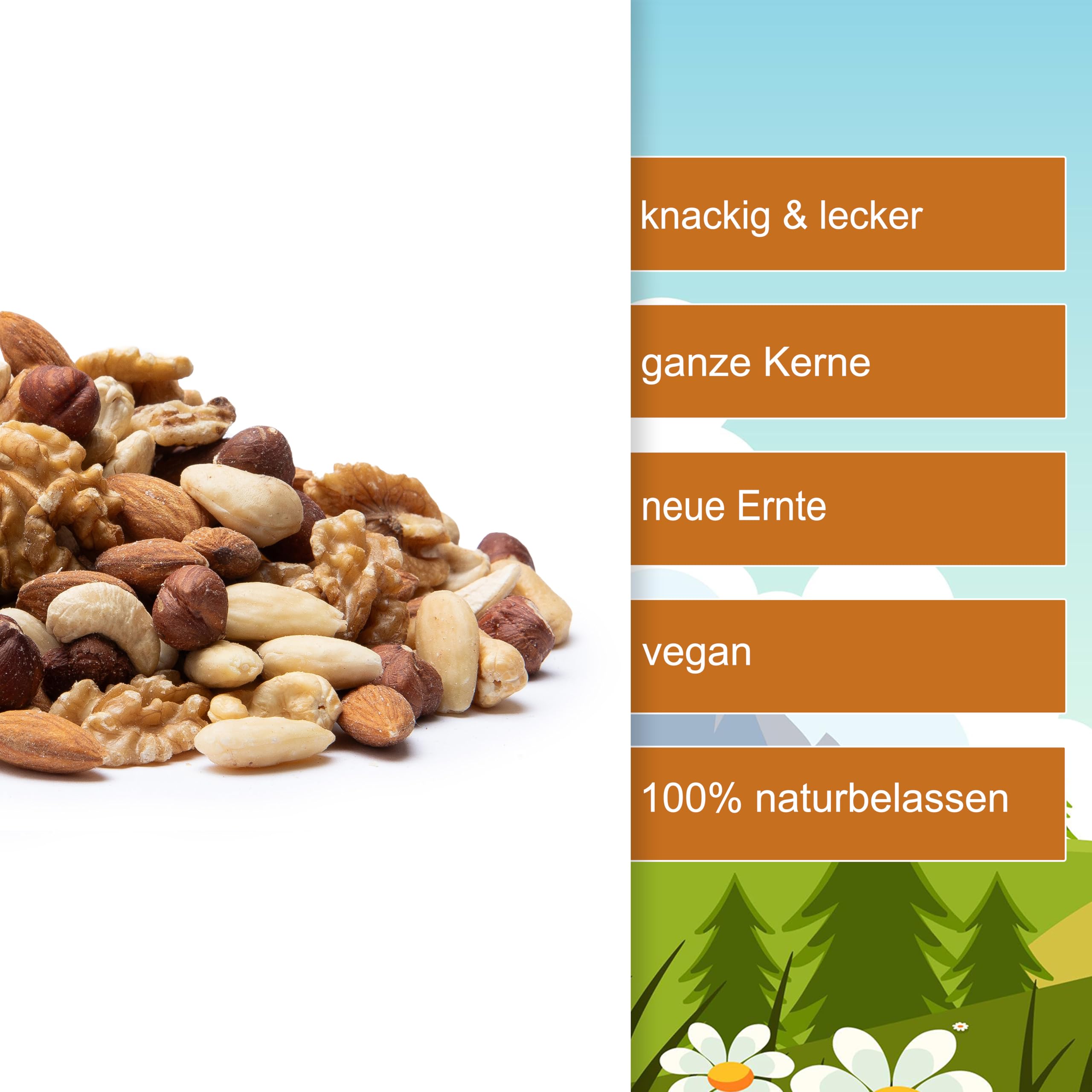 5er Nussmischung Natur - 1kg-3kg - Nuss Mix - 5 Sorten knackige Nusskernmischung - ungeröstet ungesalzen - Walnüsse Cashewkerne Mandeln Haselnüsse Mandeln blanchiert (3kg)