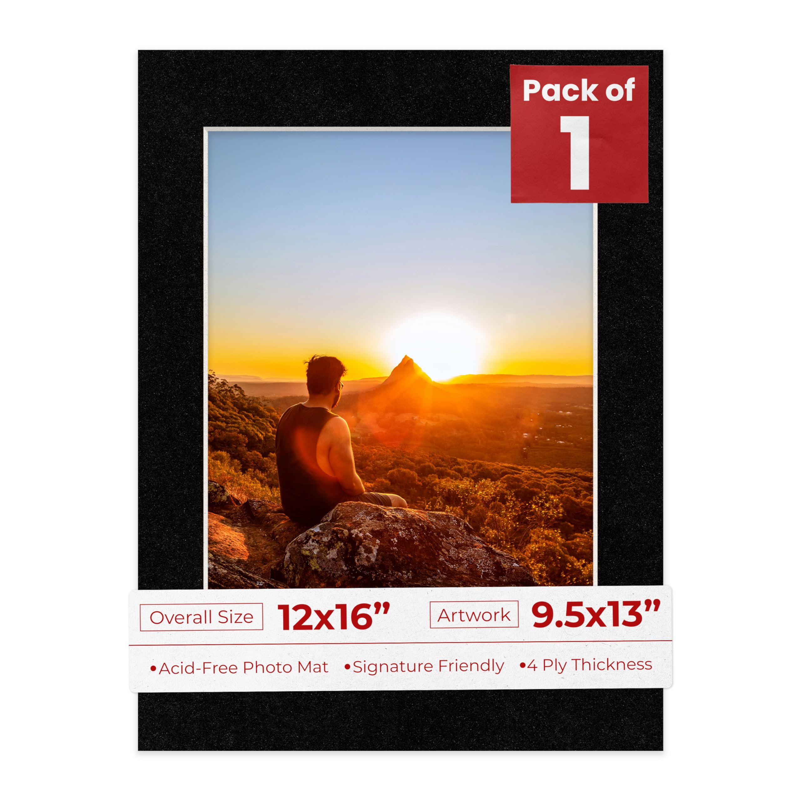 Pack of TEN 11x14 Mats Bevel Cut for 8x11 Photos - Acid Free Aged Oak Brown Precut Matboards For Pictures, Photos, Framing - 4-ply Thickness