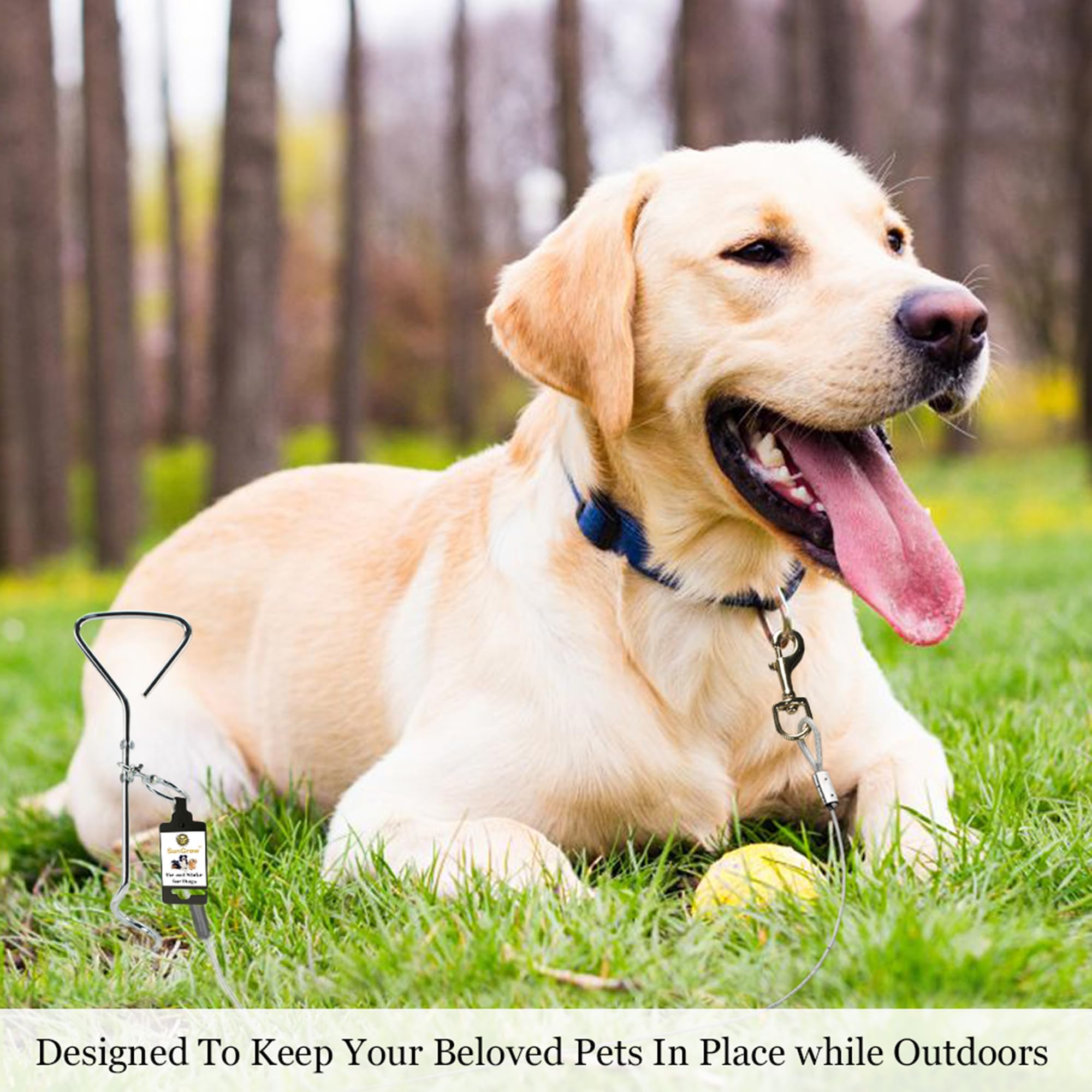 SunGrow Galvanisé Tie Out Leash Stake Anneau Rotatif à 360 degrés, 16,4 x 3,2 Pouces, Conception de Foret en Spirale, Facile à Utiliser et Pratique pour Sortir, Convient aux Chiens jusqu'à 80 Livres