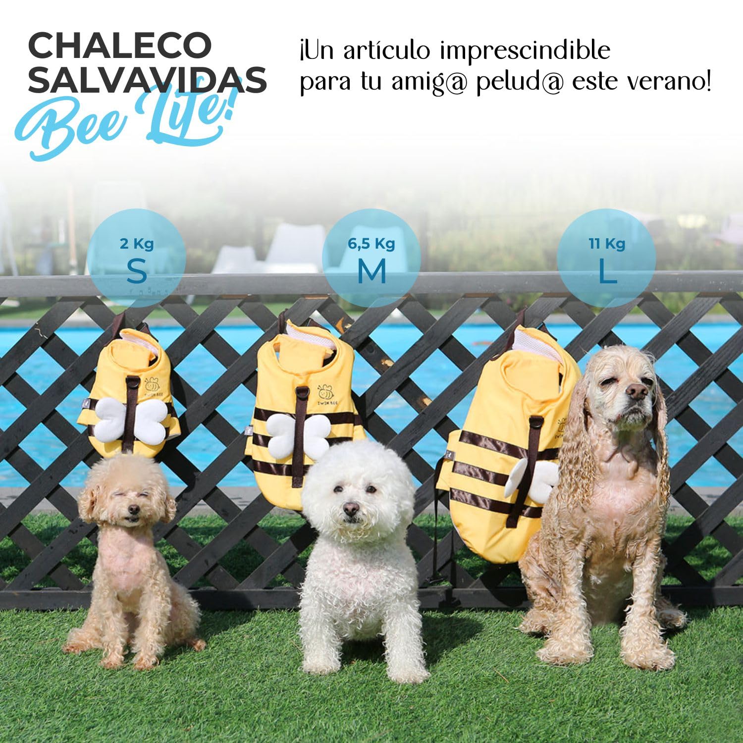 Its Dog & Kangachi - Chaleco Salvavidas de Abeja para Perros, Chaleco Flotador, Chaleco Seguridad Asa de Rescate, Ajuste Seguro, Alta Flotabilidad, Perros Pequeños y Medianos, Made in Korea, Talla S